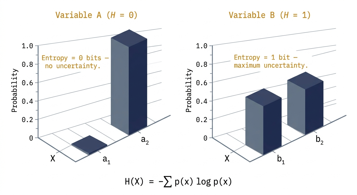 Binary Entropy Plot